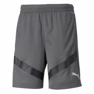 Puma Gri Erkek Futbol Teamfinal Training Shorts Antrenman Şortu
