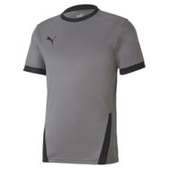 Puma Gri Teamgoal 23 Jersey Erkek Futbol Forması