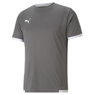 Puma Gri Teamliga Jersey Erkek Futbol Forması