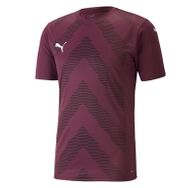 Puma Teamglory Jersey Kırmızı Erkek Futbol Forması