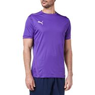 Puma Teamgoal 23 Jersey Erkek Futbol Forması