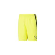 Puma Teamliga Shorts Sarı Erkek Futbol Şortu