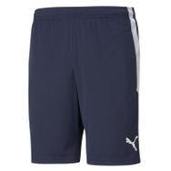 Puma Teamliga Training Shorts Lacivert Erkek Futbol Maç Şortu
