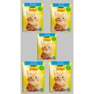 Purina Friskies Somonlu 5x85 gr Yetişkin Yaş Kedi Maması
