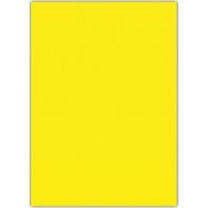 Puti 50x70 cm 10'lu Sarı Klasik Eva