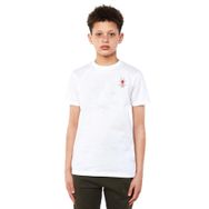 Qivi Red Spider Kırmızı Örümcek Baskılı Unisex Çocuk Beyaz T-shirt