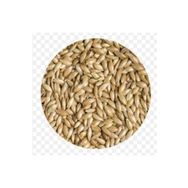 Quik Aspur 300 gr Kuş Yemi
