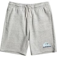 Quiksilver EQBFB03144 Gri Easy Day Erkek Sweat Şort