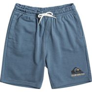 Quiksilver EQBFB03144 Lacivert Easy Day Erkek Sweat Şort