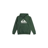 Quiksilver EQYFT04450-GSG0 Yeşil Big Logo Hood Erkek Sweatshirt