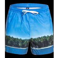 Quiksilver EQYJV03548-BMM6 Jlagdrmsvly 15 Jamv Volley Erkek Şort