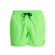 Quiksilver EQYJV04120-GGY0 Everyday Solid Yeşil Erkek Deniz Şortu