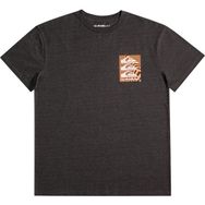 Quiksilver EQYZT07262 PLANETPOSITIVE M TEES Bisiklet Yaka Kırmızı Erkek T-shirt
