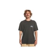Quiksilver EQYZT07654-12814 Gri Erkek T-shirt