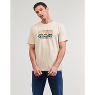 Quiksilver EQYZT07678-11492056 Step Inside Bej Erkek T-shirt