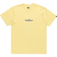 Quiksilver EQYZT08062-YEM0 Fineline Ss Erkek Spor Tişört