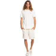 Quiksilver Essentials SS Erkek T-Shirt