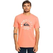 Quiksilver Mixedsignals EQYZT07276-MHV0010 Renkli Erkek T-shirt