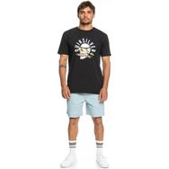Quiksilver QS Rockin Skull EQYZT07278 Karışık Erkek T-shirt