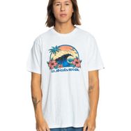 Quiksilver Riding Today Beyaz Erkek T-shirt