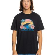 Quiksilver Riding Today Siyah Erkek T-shirt