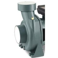 Rain Pump SHFM6C Monofaze Santrifüj Pompası