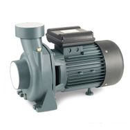Rainpump SHFM5AM Santrifuj Pompa