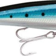 Rapala 120BSRD Saltwater X-Rap 120 mm Sahte Balık