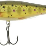 Rapala BX Minnow 100 mm TR Sahte Balık