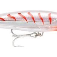 Rapala CG 160 mm X-Rap Magnum Maket Balık
