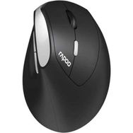 Rapoo 13531 Mou EV250 Siyah Kablosuz Ergonomik Mouse