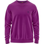 Raru Audax Mor Erkek Kapüşonlu Sweatshirt