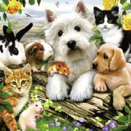 Ravensburger 13160 - Fröhliche Tierfreundschaft - 300 Teile Puzzle