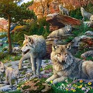 Ravensburger 165988 Kurtlar Yetişkin 1500 Parça Puzzle