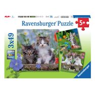 Ravensburger 3x49 Parça Tiger Babies Çocuk Puzzle