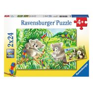 Ravensburger 78202 Koalas Pandas 2x24 Parça Puzzle