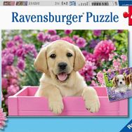 Ravensburger Friends 2x24 Puzzle