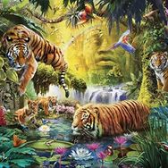 Ravensburger Tigers 1500 Parça Puzzle