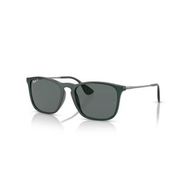 Ray-Ban 0RB 4187 666381 54 Unisex Güneş Gözlüğü