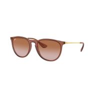 Ray-Ban 0RB4171 659013 54 Unisex Güneş Gözlüğü