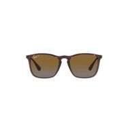 Ray-Ban 0Rb4187 6593T554 Erkek Güneş Gözlüğü