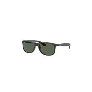 Ray-Ban 0RB4202 606971 55 Erkek Güneş Gözlüğü