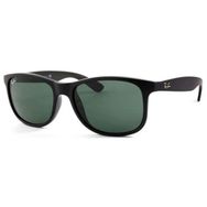 Ray-Ban 0RB4202 606971 55 Unisex Güneş Gözlüğü