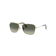 Ray-Ban 3136 181/71 58/15 Yeşil Ekartman Unisex Güneş Gözlüğü