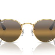 Ray-Ban 3447 001/G5 Erkek Güneş Gözlüğü