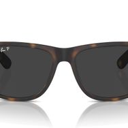 Ray-Ban 4165 865/87 Erkek Güneş Gözlüğü