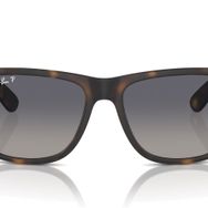 Ray-Ban 4165 865/8S Erkek Güneş Gözlüğü