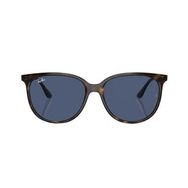 Ray-Ban 4378 710/80 54-16 Unisex Güneş Gözlüğü