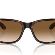 Ray-Ban 4388 710/51 58 Unisex Güneş Gözlüğü