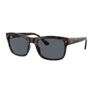 Ray-Ban 4428 710/R5 56-21 Unisex Güneş Gözlüğü